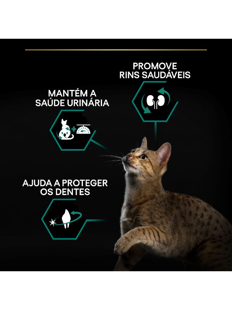 Pro Plan Cat Renal Plus Sterilised Adult Turkey & Rice – imagem secundária 4