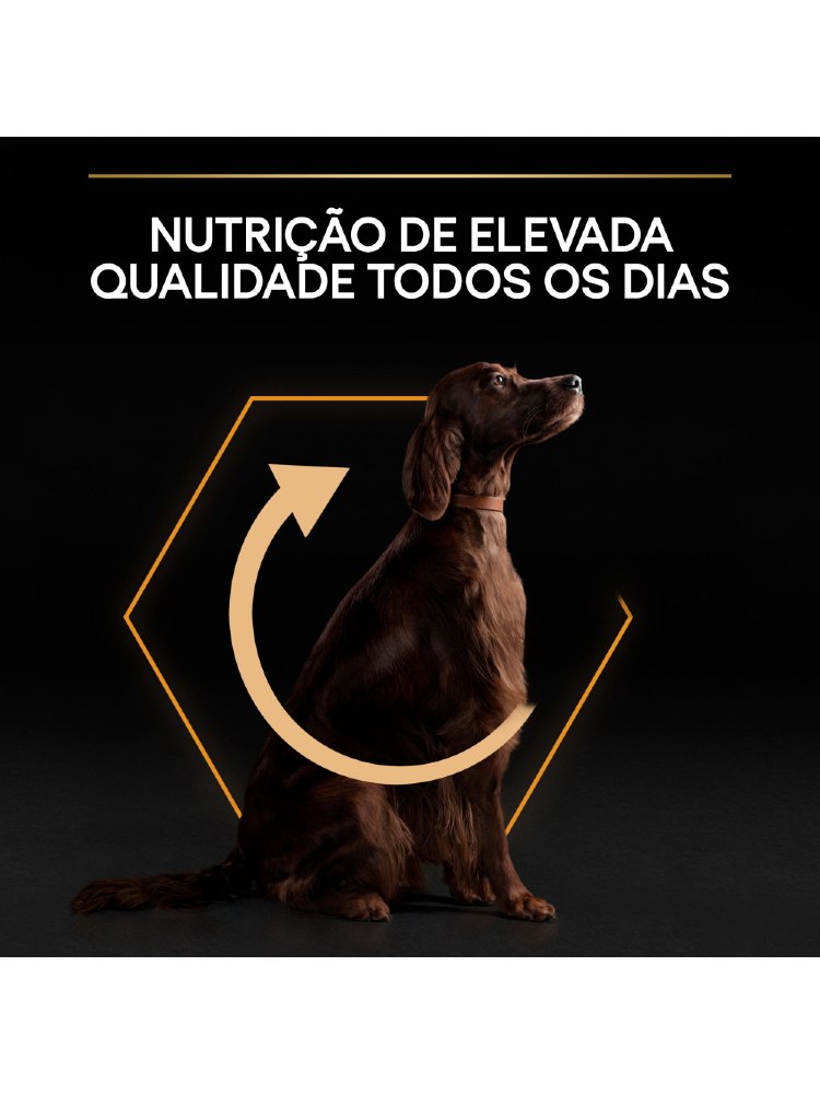 Pro Plan Everyday Nutrition Large Athletic Adult Chicken - Bónus – imagem secundária 1