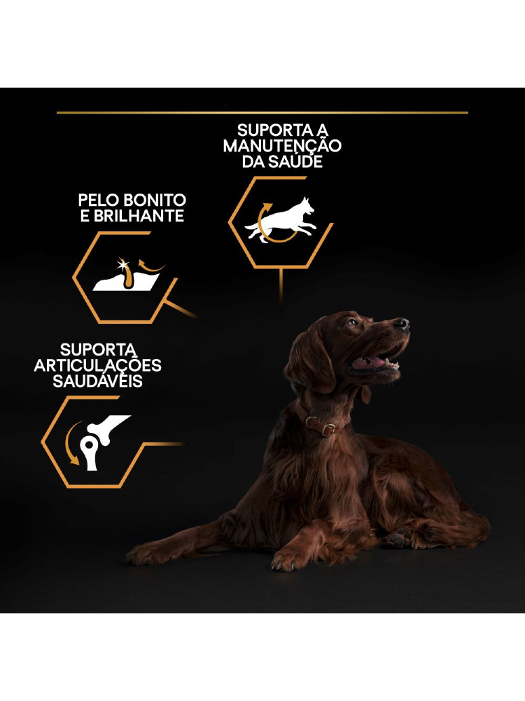 Pro Plan Everyday Nutrition Large Athletic Adult Chicken – imagem secundária 3