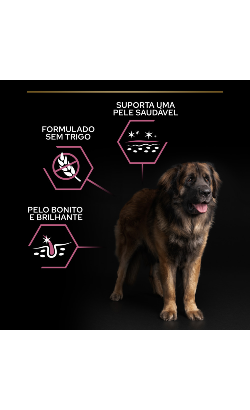 Pro Plan Large Robust Puppy Sensitive Skin Salmon – imagem secundária 2