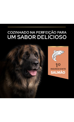 Pro Plan Large Robust Puppy Sensitive Skin Salmon – imagem secundária 3