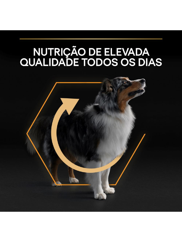 Pro Plan Medium Adult Everyday Nutrition Chicken – imagem secundária 4