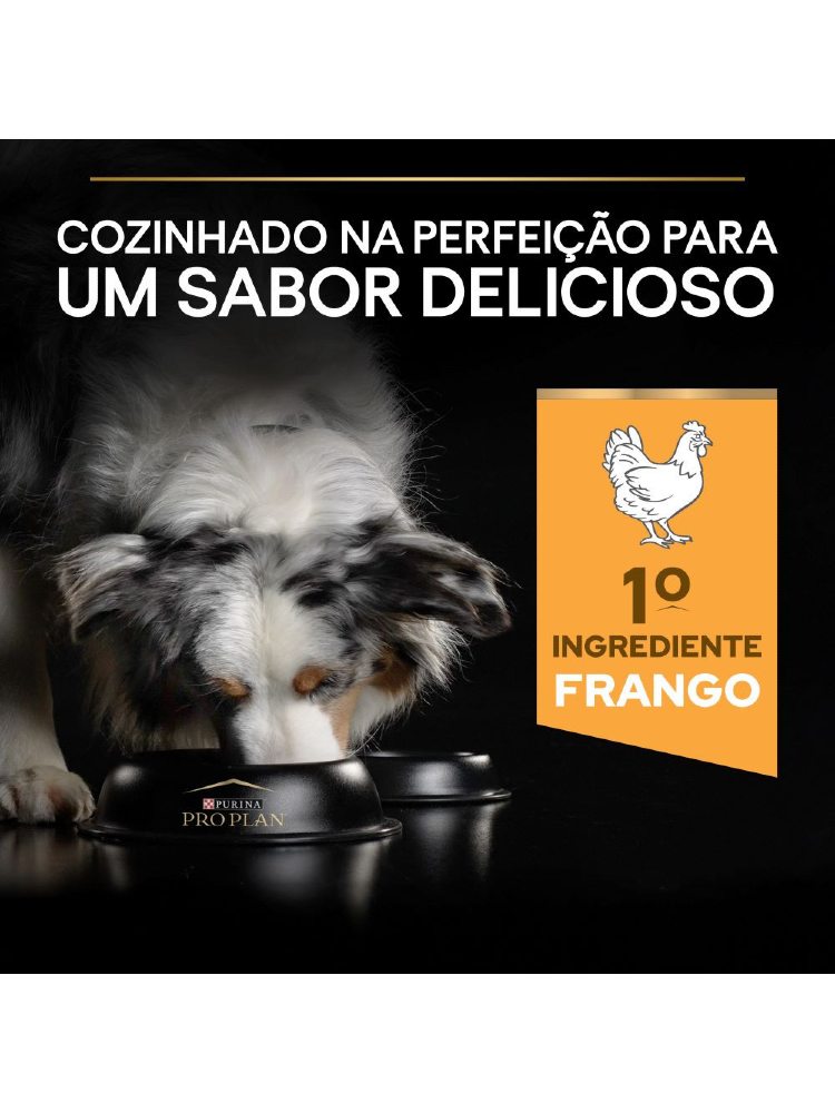 Pro Plan Medium Adult Everyday Nutrition Chicken – imagem secundária 5