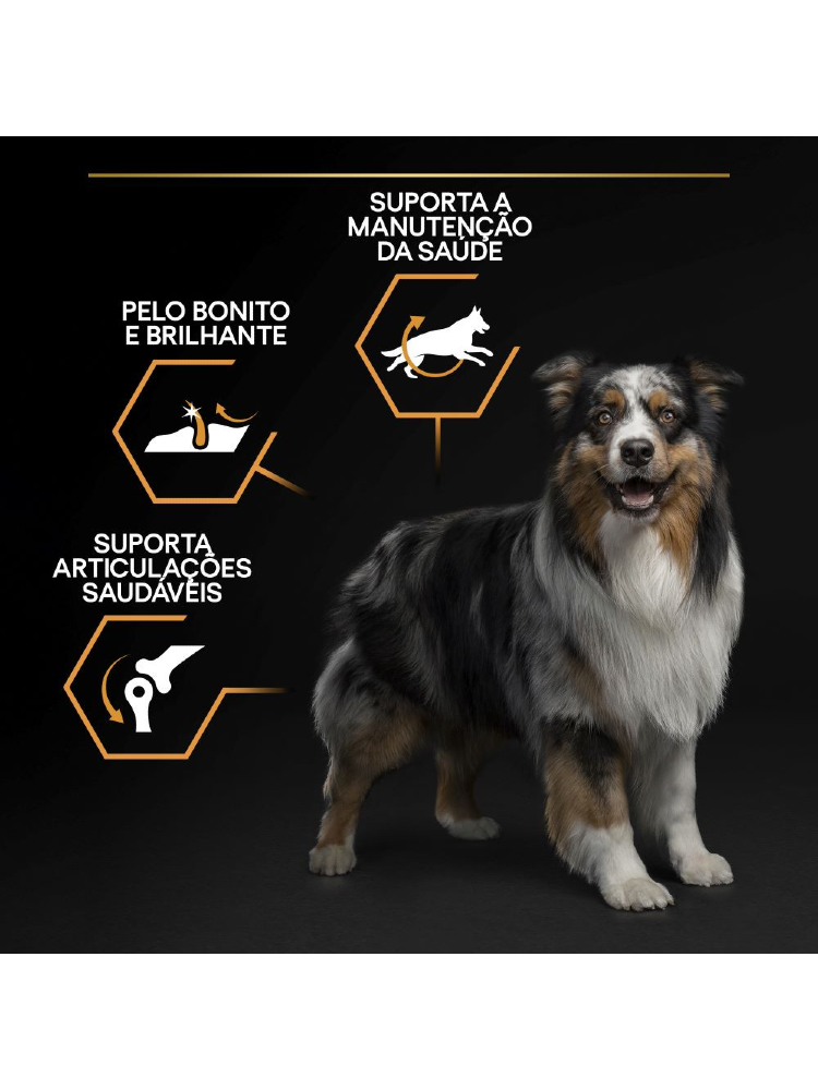 Pro Plan Medium Adult Everyday Nutrition Chicken – imagem secundária 6