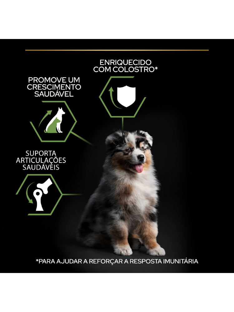 Pro Plan Medium Puppy Healthy Start - Bónus – imagem secundária 1