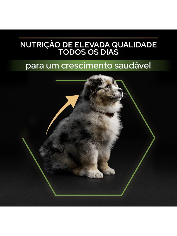 Pro Plan Medium Puppy Healthy Start - Bónus – imagem secundária 2