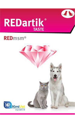 Redartik Taste – imagem principal