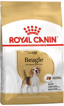 Royal Canin Beagle Adult – imagem secundária 1