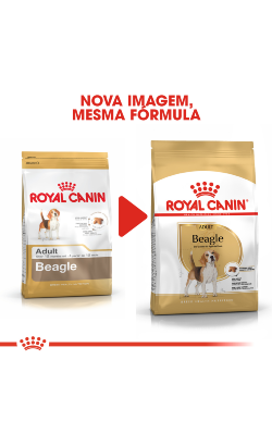 Royal Canin Beagle Adult – imagem secundária 2
