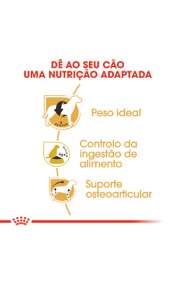 Royal Canin Beagle Adult – imagem secundária 4