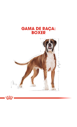 Royal Canin Boxer Adult – imagem secundária 3