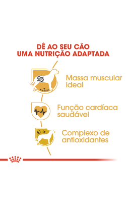 Royal Canin Boxer Adult – imagem secundária 4