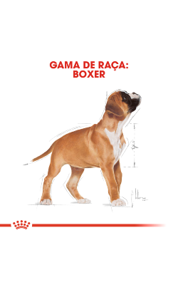Royal Canin Boxer Puppy – imagem secundária 3