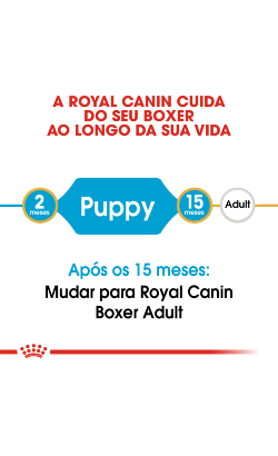 Royal Canin Boxer Puppy – imagem secundária 4