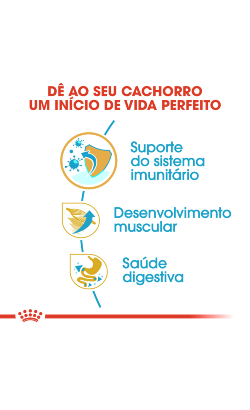 Royal Canin Boxer Puppy – imagem secundária 5