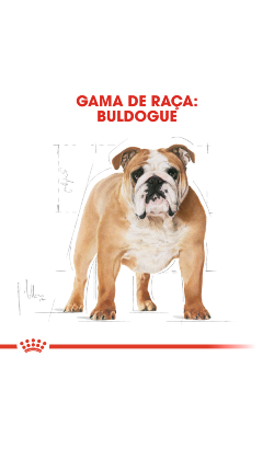 Royal Canin Bulldog Adult – imagem secundária 3