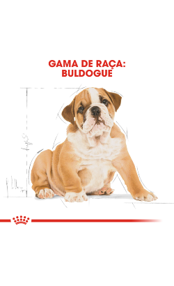 Royal Canin Bulldog Puppy – imagem secundária 3