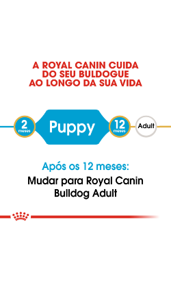 Royal Canin Bulldog Puppy – imagem secundária 4