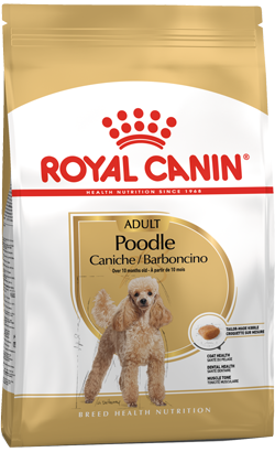 Royal Canin Caniche Adult – imagem secundária 1