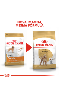 Royal Canin Caniche Adult – imagem secundária 2