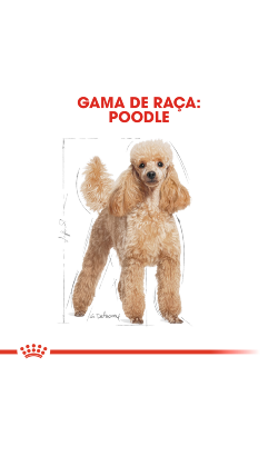 Royal Canin Caniche Adult – imagem secundária 3
