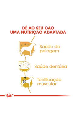 Royal Canin Caniche Adult – imagem secundária 4