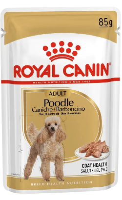 Royal Canin Caniche Adulto – imagem principal