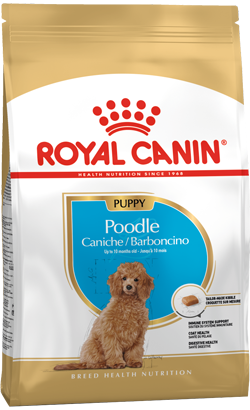 Royal Canin Caniche Puppy – imagem secundária 1