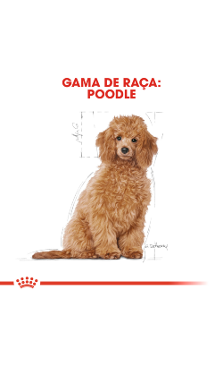 Royal Canin Caniche Puppy – imagem secundária 3