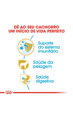 Royal Canin Caniche Puppy – imagem secundária 5