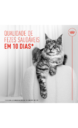 Royal Canin Care Digestive Airlift Mousse – imagem secundária 2