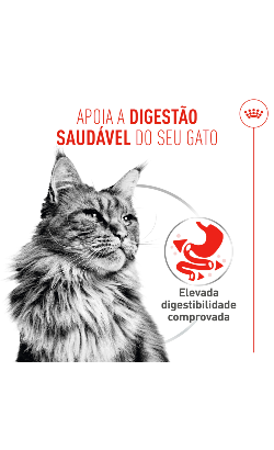 Royal Canin Care Digestive Airlift Mousse – imagem secundária 3