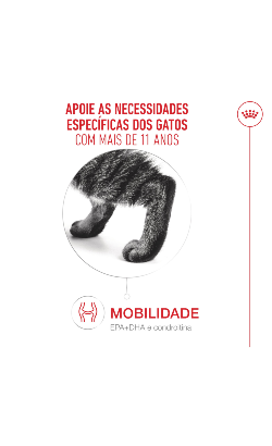 Royal Canin Cat Ageing 11+ – imagem secundária 5