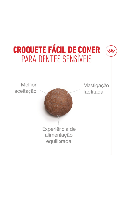 Royal Canin Cat Ageing 11+ – imagem secundária 7