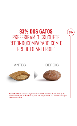 Royal Canin Cat Ageing 11+ – imagem secundária 8
