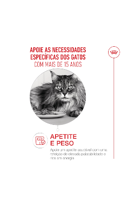 Royal Canin Cat Ageing 15+ – imagem secundária 4