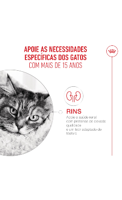 Royal Canin Cat Ageing 15+ – imagem secundária 5