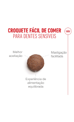 Royal Canin Cat Ageing 15+ – imagem secundária 6