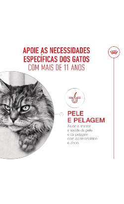 Royal Canin Cat Ageing +11 in Gravy – imagem secundária 5