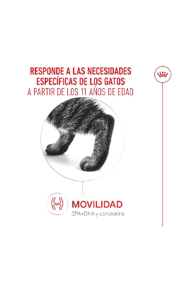 Royal Canin Cat Ageing +11 in Mousse – imagem secundária 3
