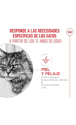 Royal Canin Cat Ageing +11 in Mousse – imagem secundária 4