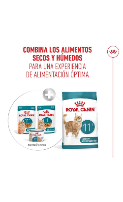 Royal Canin Cat Ageing +11 in Mousse – imagem secundária 7