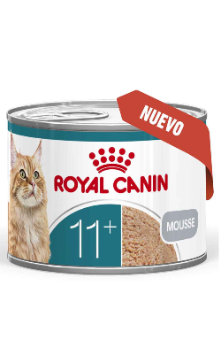 Royal Canin Cat Ageing +11 in Mousse