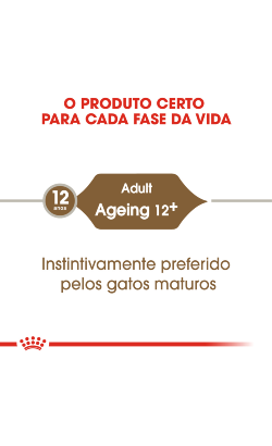 Royal Canin Cat Ageing +12 in Jelly – imagem secundária 3