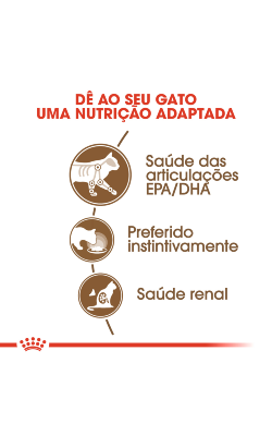 Royal Canin Cat Ageing +12 in Jelly – imagem secundária 4