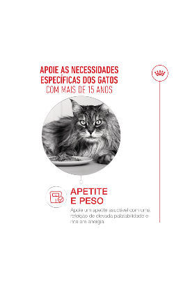 Royal Canin Cat Ageing +15 in Gravy – imagem secundária 3