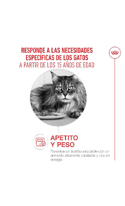 Royal Canin Cat Ageing +15 in Mousse – imagem secundária 3