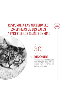 Royal Canin Cat Ageing +15 in Mousse – imagem secundária 4