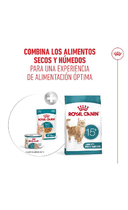 Royal Canin Cat Ageing +15 in Mousse – imagem secundária 6
