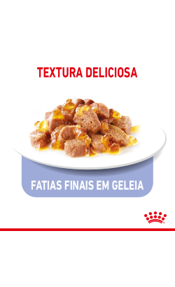 Royal Canin Cat Appetite Control Sterilised in Jelly – imagem secundária 4